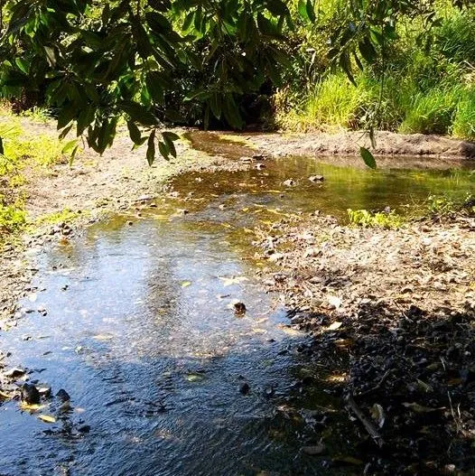 ¿Sabías que hay aguas termales muy cerca de Zihuatanejo?