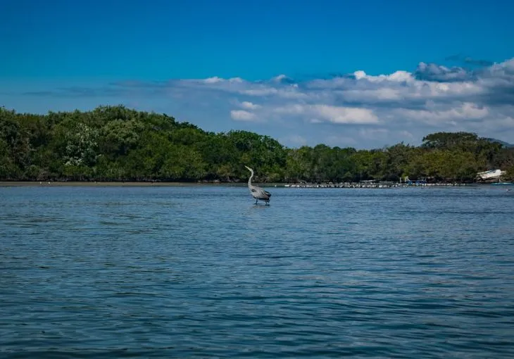 Naturaleza Petatlan