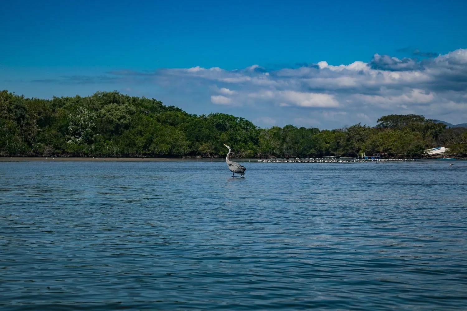 Barra de Potosí - foto 7