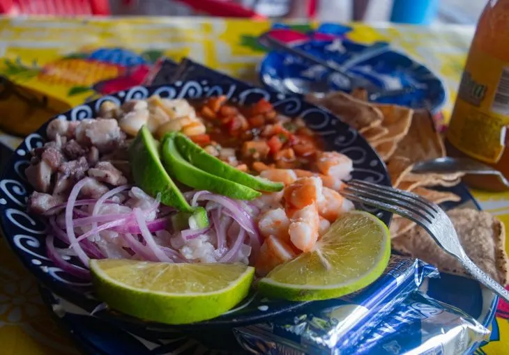 Comer Barra De Potosi