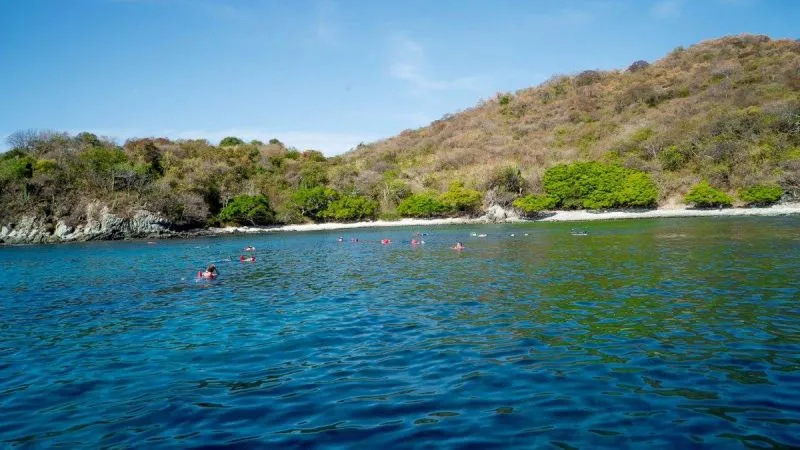 Cinco recomendaciones para antes de hacer Snorkel en Zihuatanejo