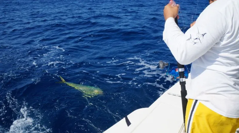 Cinco tips para disfrutar al máximo tour de pesca deportiva