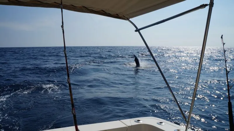Un Paraíso para los Amantes de la Pesca