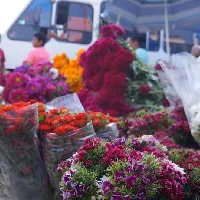 Eventdiademuertos