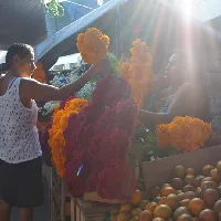 Eventdiademuertos
