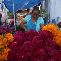 Eventdiademuertos