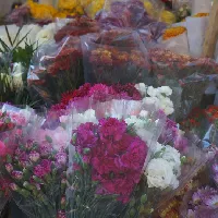 Eventdiademuertos