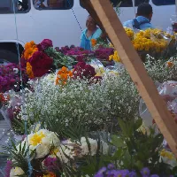 Eventdiademuertos