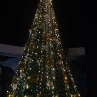 Navidad 2019 Zihuatanejo