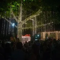 Navidad 2019 Zihuatanejo
