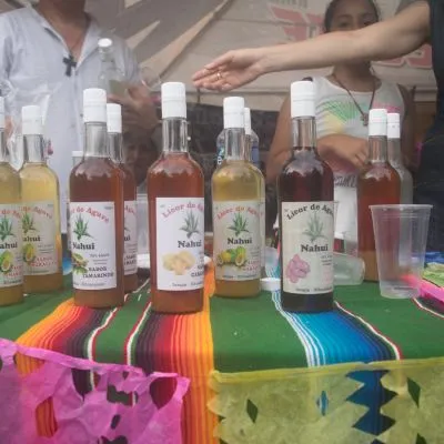 Festival Mezcal Zihuatanejo