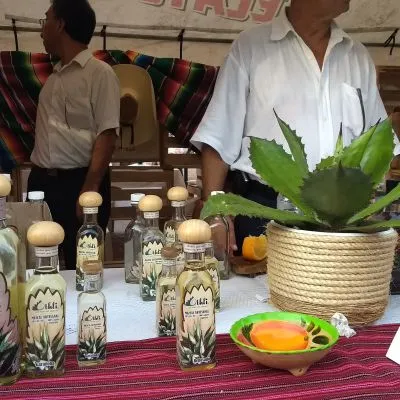 Festival Mezcal Zihuatanejo