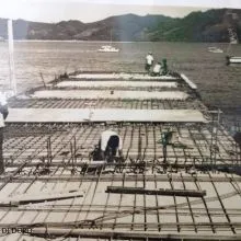 Zihuatanejo Del Recuerdo