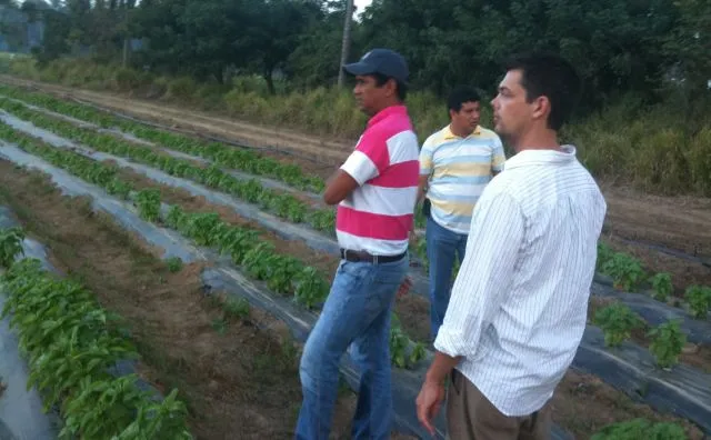 Rancho innovadores