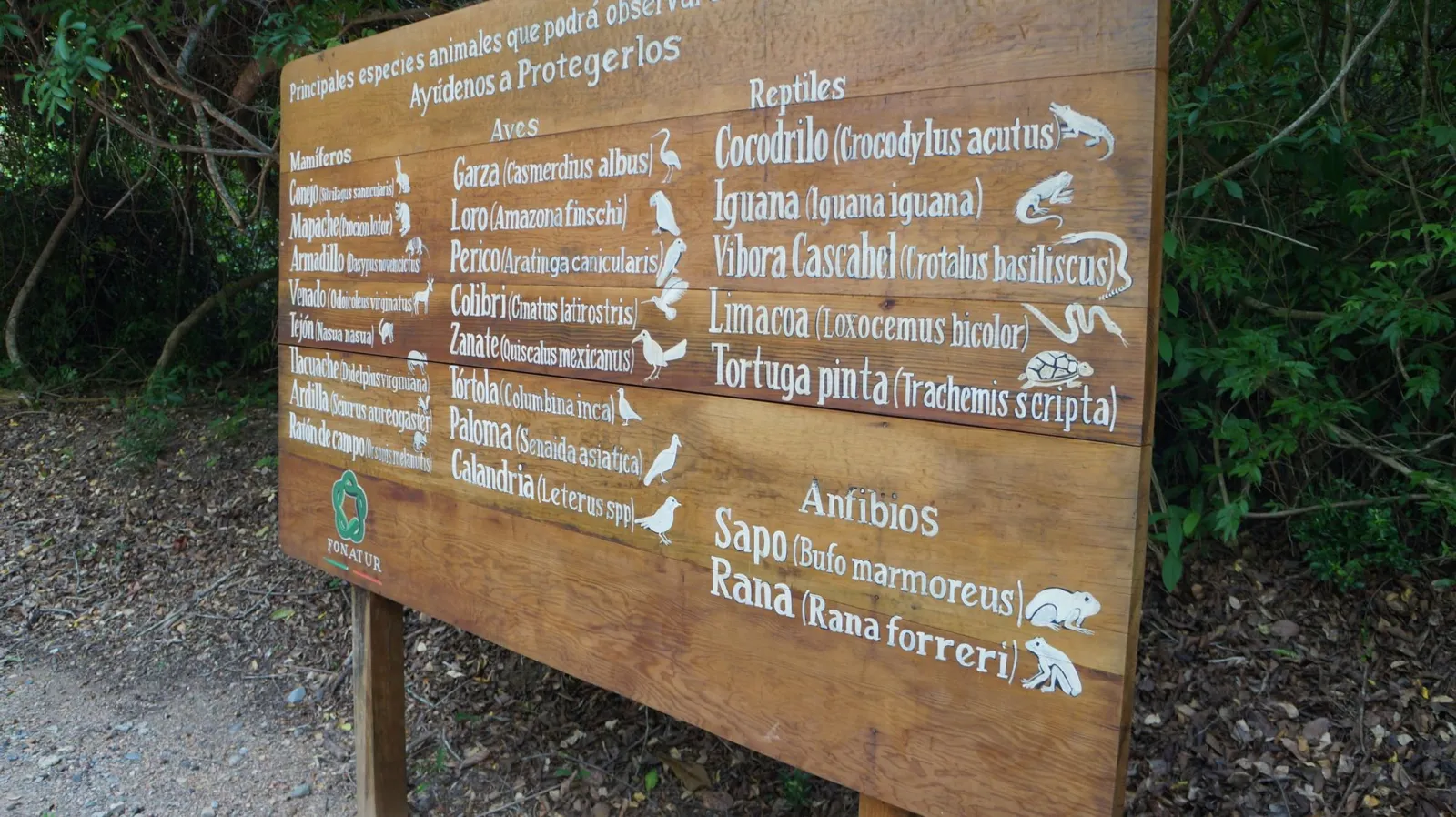 Ciclopista, Mirador Ixtapa y Parque Aztlán - foto 2