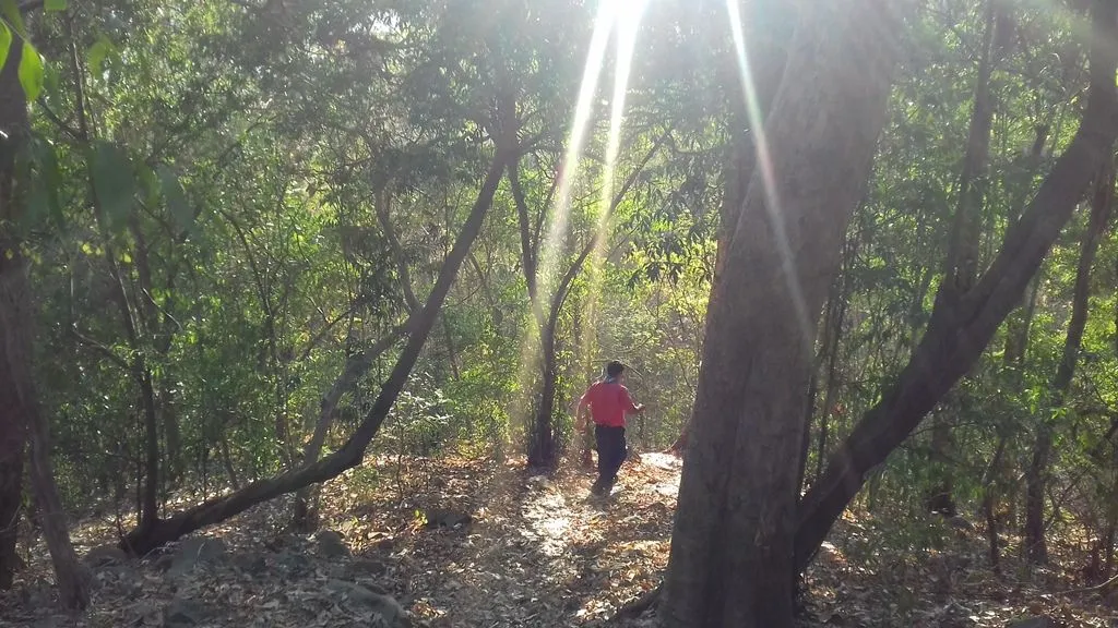 Conoce El Parque Estatal el Limón