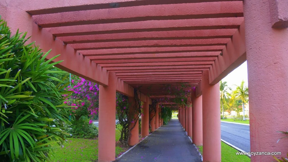 Paseo de los viveros y Parque de los Amates