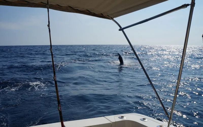 Pesca Ixtapa