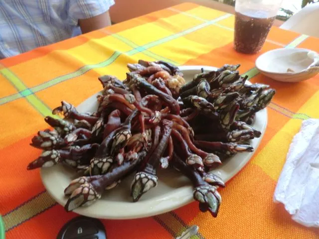 5 Platillos que debes probar en Zihuatanejo - foto 4