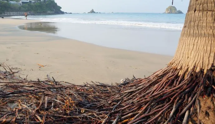 Playa Cucaracha