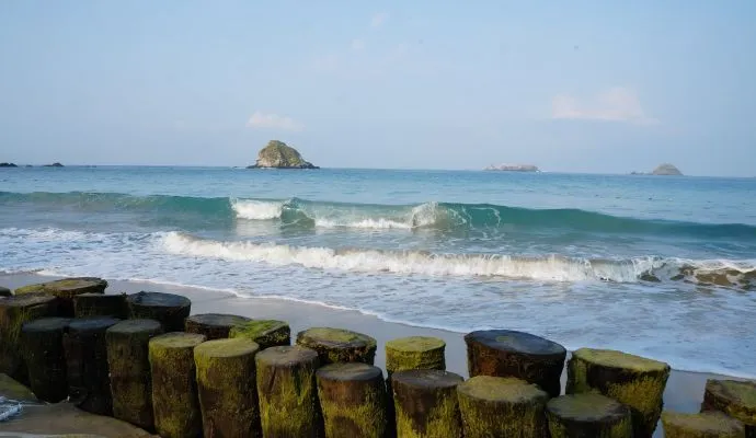 Palmar Ixtapa