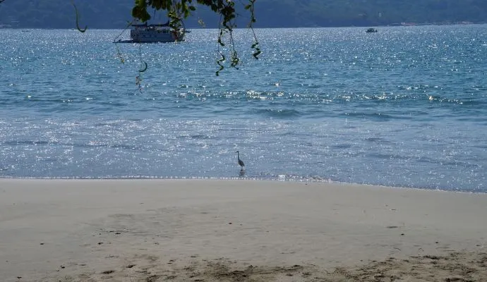 Playa Madera Zih