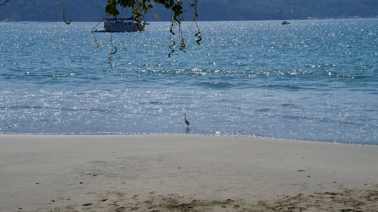 Playa La Madera Zihuatanejo - foto 7