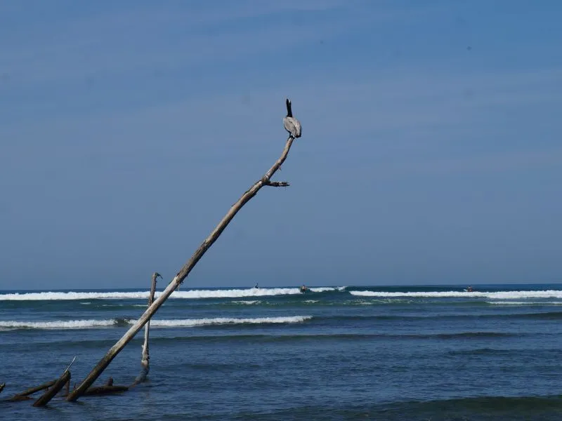 Playa La Saladita