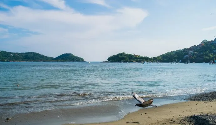 Playa Principal Bahia Ixtapa Zihuatanejo