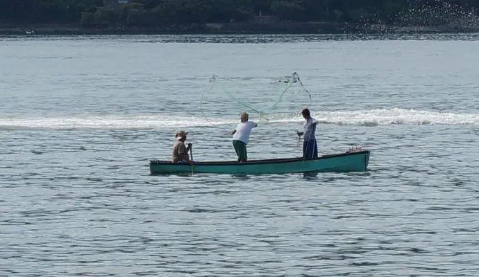 Pescadores En La Bahia De Zihuatanejo