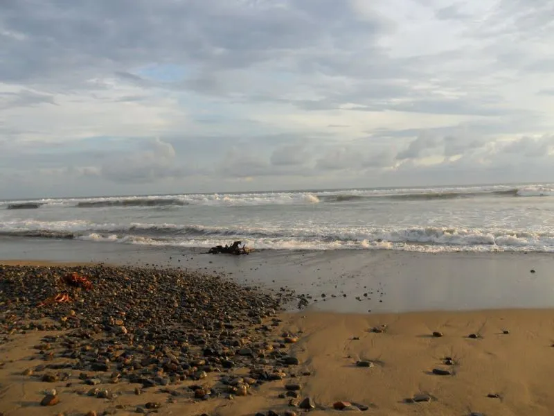 Puntos de Surfing en Ixtapa-Zihuatanejo y Riviera Dorada - foto 7