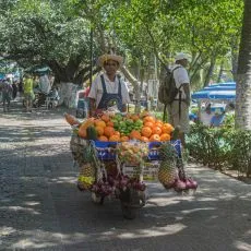 Zancas Nuestra Gente