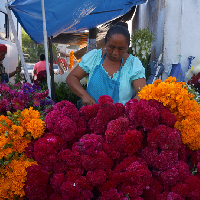   Eventdiademuertos