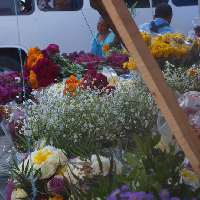   Eventdiademuertos