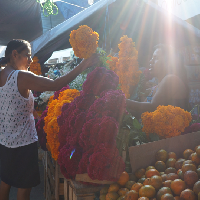   Eventdiademuertos