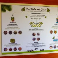   Museo De Coco