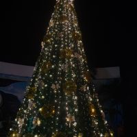   Navidad 2019 Zihuatanejo