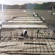   Zihuatanejo Del Recuerdo