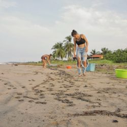 ​​​​​​​Campamento de Tortugas Majahua