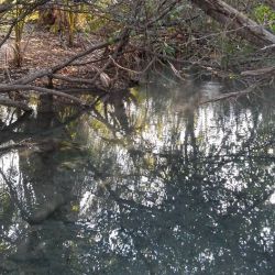 Aguas termales en la Riviera Dorada