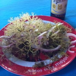 Cinco platillos que comer en Zihuatanejo