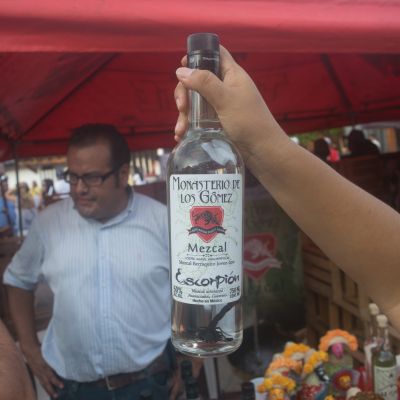   Festival Mezcal Zihuatanejo