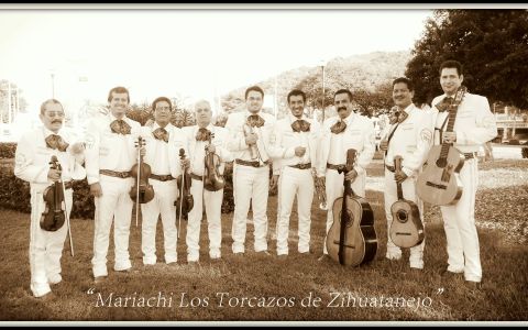 Mariachi Los Torcazos