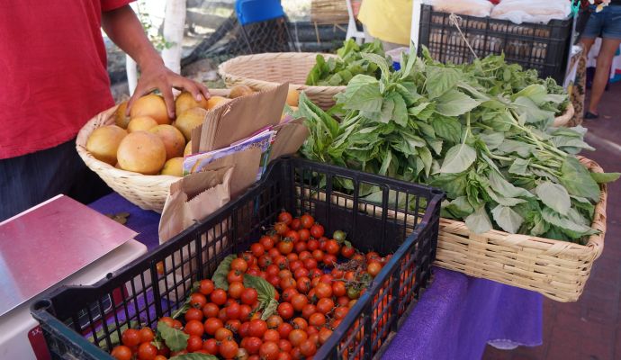 Ecotianguis Sanka Zihuatanejo 