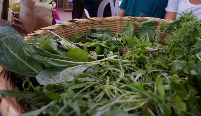 Verdes Ecotianguissanka 