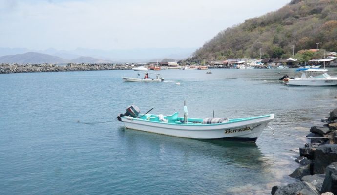 Puertovicenteguerrero 