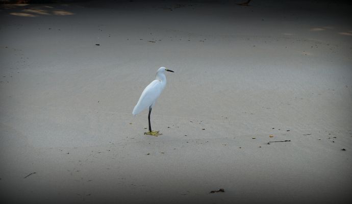 Garza Ixtapa Zihuatanejo 