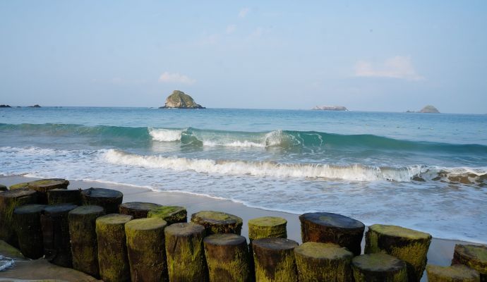 Palmar Ixtapa 