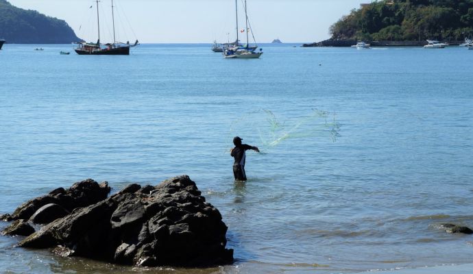 Pescando Lamadera 