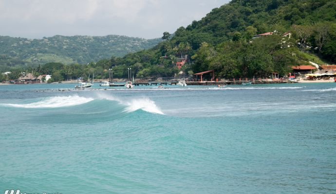 Las Gatas Listos Pa Surfear 